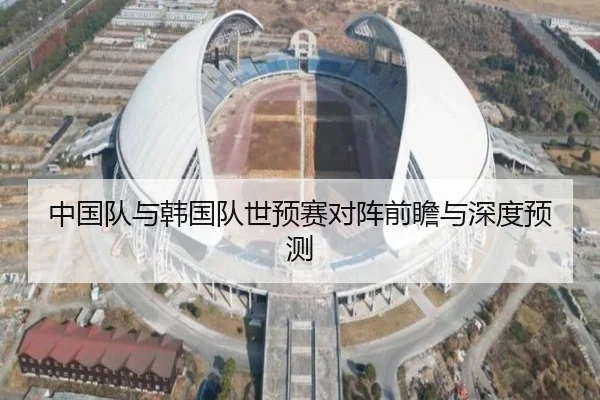 中国队与韩国队世预赛对阵前瞻与深度预测