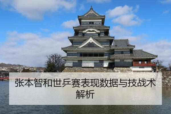 张本智和世乒赛表现数据与技战术解析